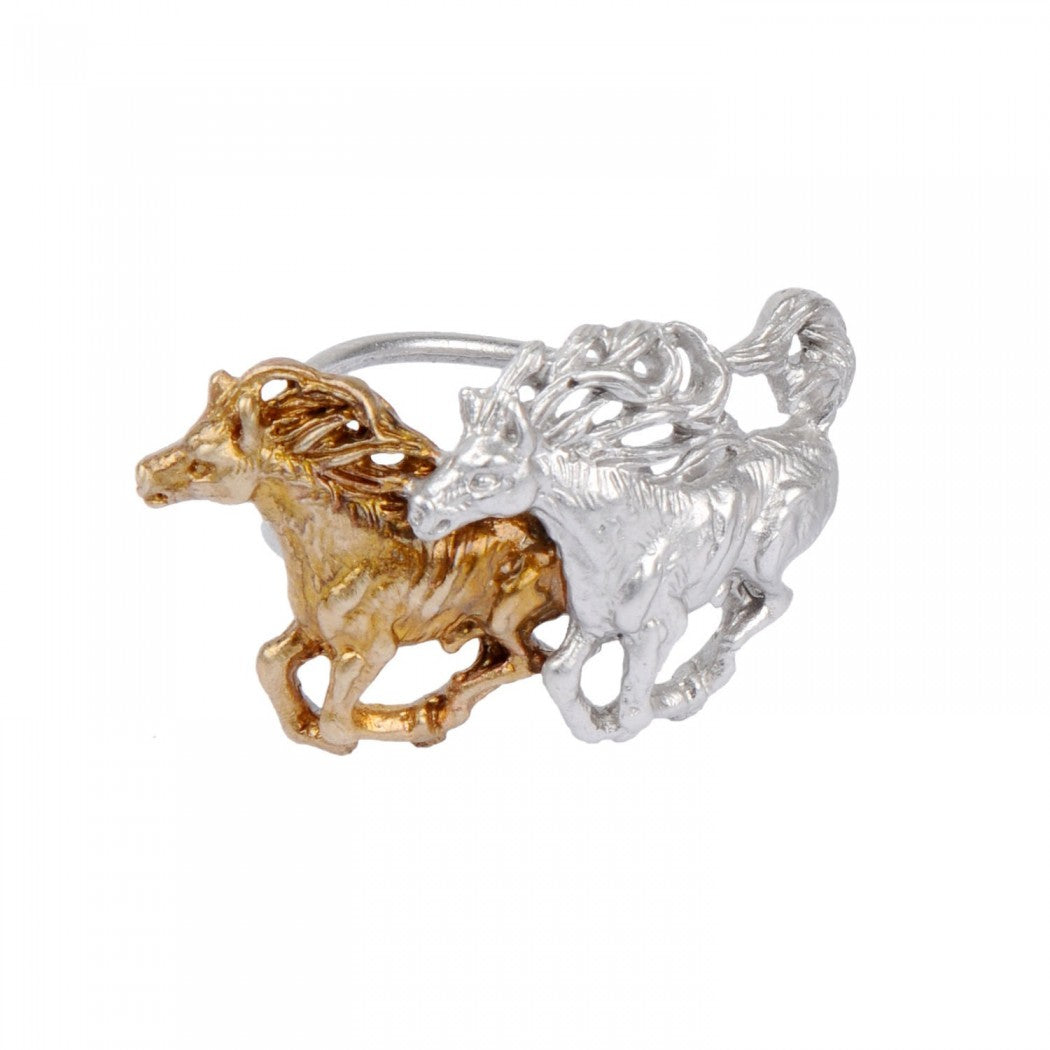 Conchos Cavalli Selvaggi